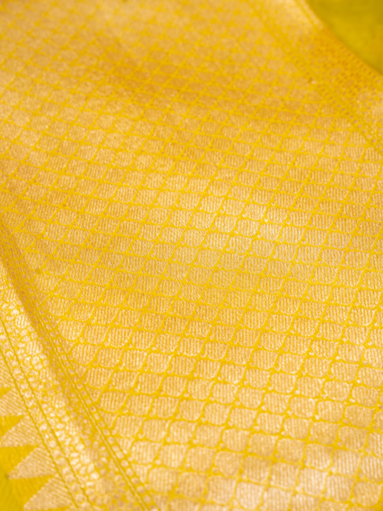 Yellow Pure Silk Organza Saree