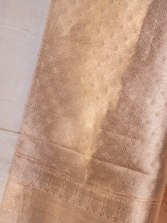 Blush Beige Handcrafted Pure Silk Tissue Saree