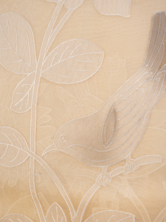 Ivory Pure Silk Organza Saree