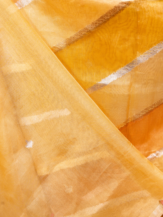 Antique Gold and Amber Tones Handcrafted Pure Silk Tissue Rangkaat Saree