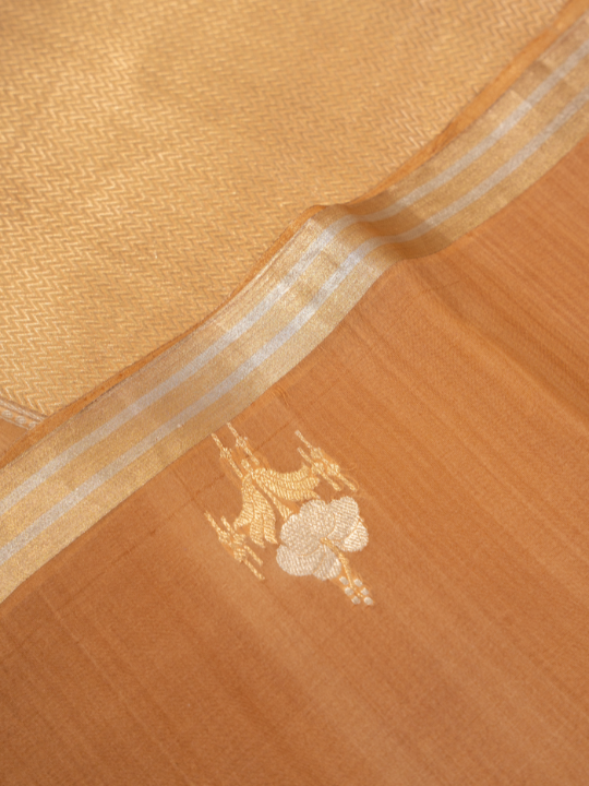 Mocha Ombré Pure Silk Organza Saree