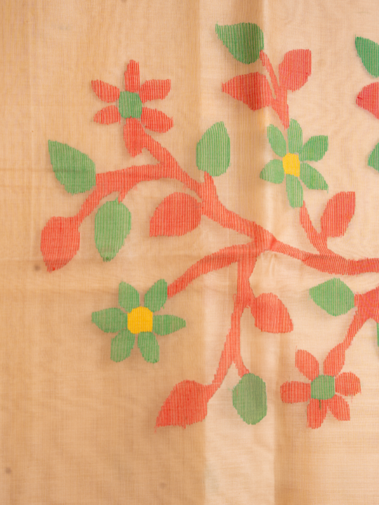 Soft Beige Pure Silk Muslin Saree