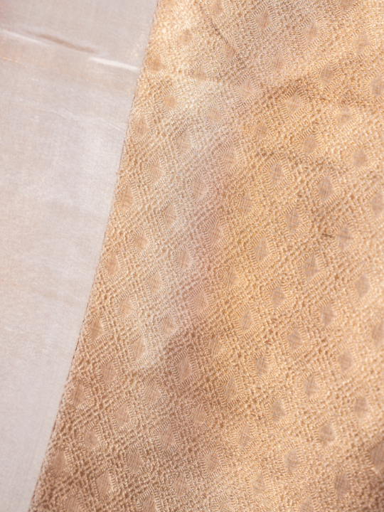 Blush Beige Handcrafted Pure Silk Tissue Saree