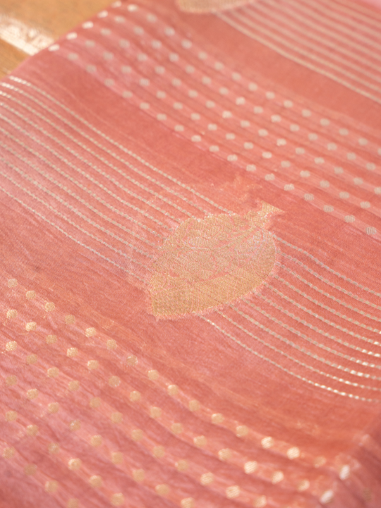 Rose Gold Ombré Pure Silk Organza Saree