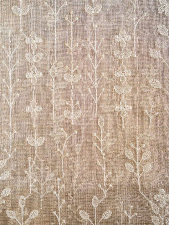 Beige Golden Kota Tissue Saree