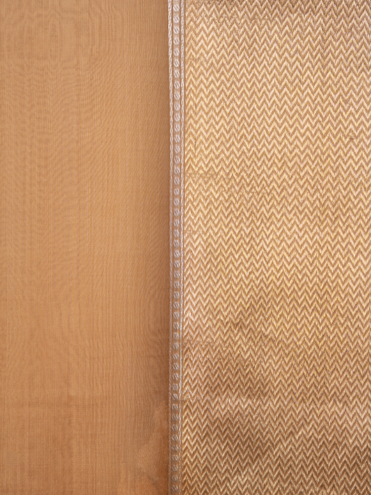 Mocha Ombré Pure Silk Organza Saree