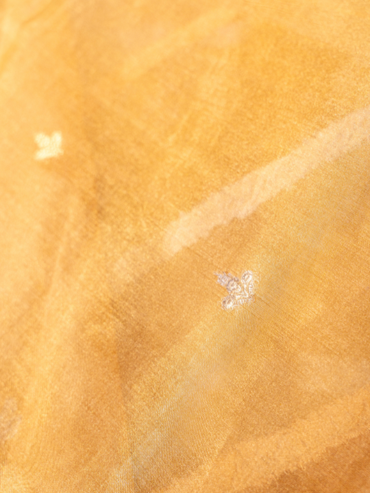 Antique Gold and Amber Tones Handcrafted Pure Silk Tissue Rangkaat Saree