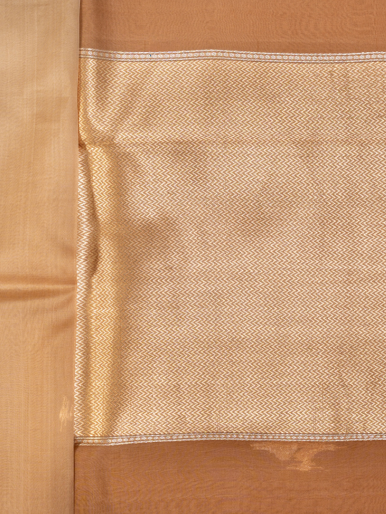 Mocha Ombré Pure Silk Organza Saree