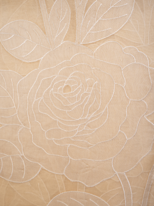 Ivory Pure Silk Organza Saree