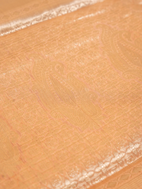 Rose Gold Ombré Pure Silk Organza Saree