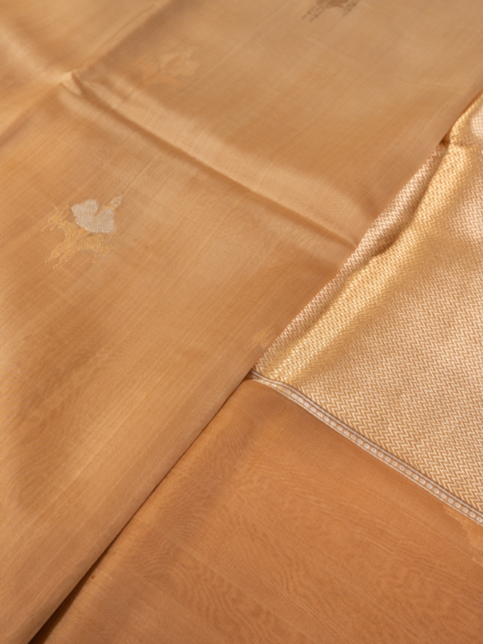 Mocha Ombré Pure Silk Organza Saree
