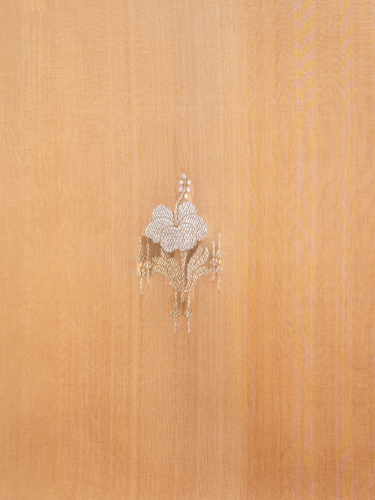 Mocha Ombré Pure Silk Organza Saree